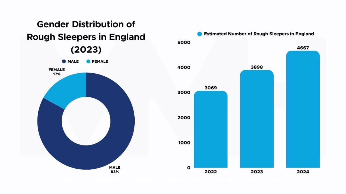 Gender and count of rough sleepers in England.