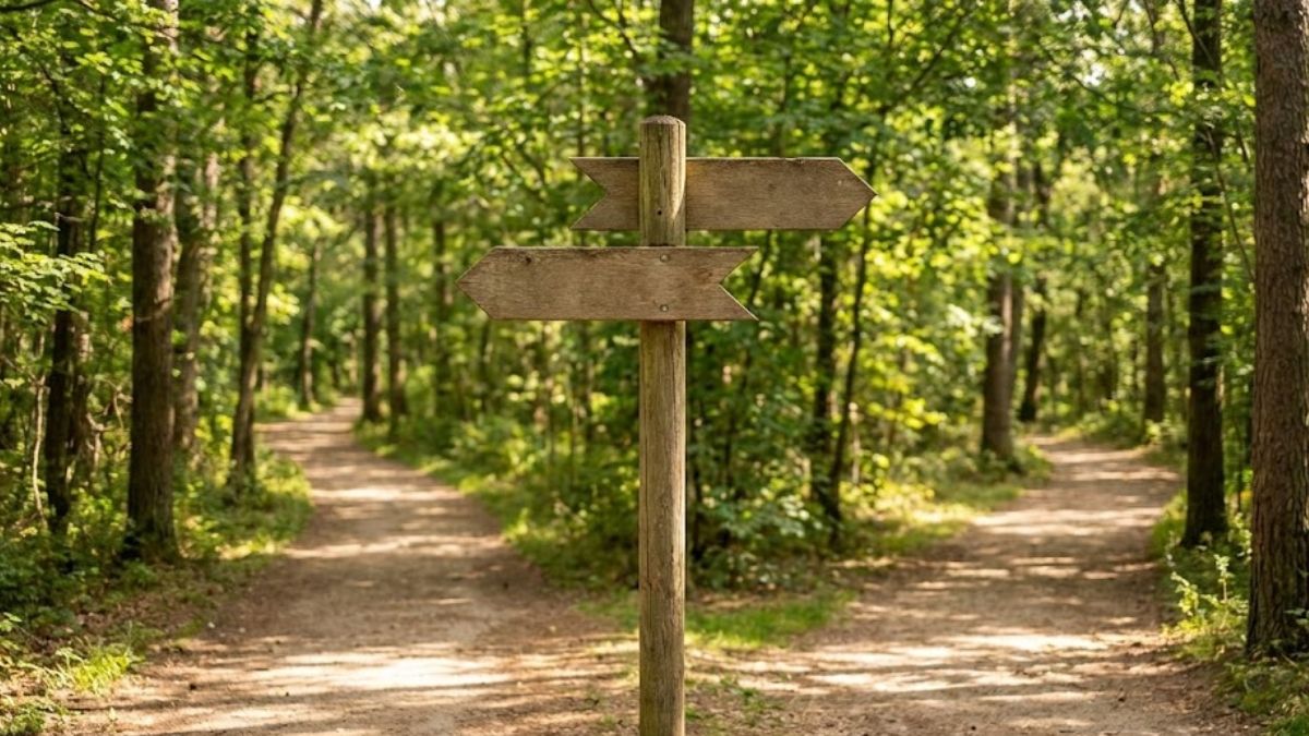 A signpost on a path representing different routes to accessing mental health treatment.