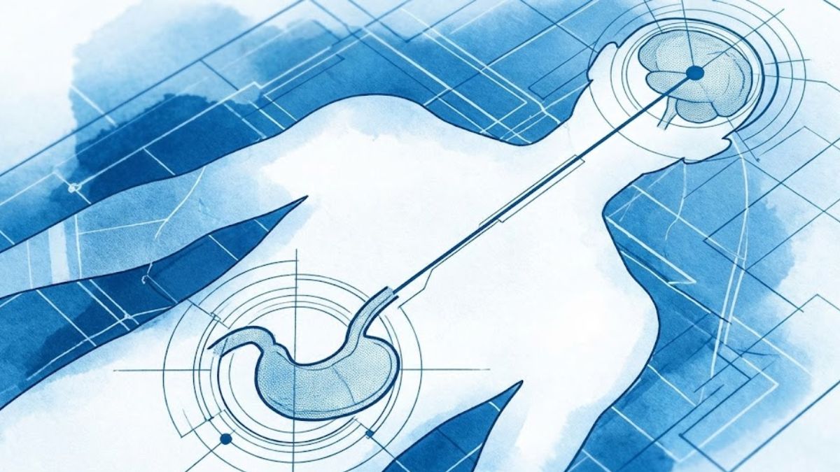 Abstract blueprint illustration showing the connection between the digestive system and the brain.