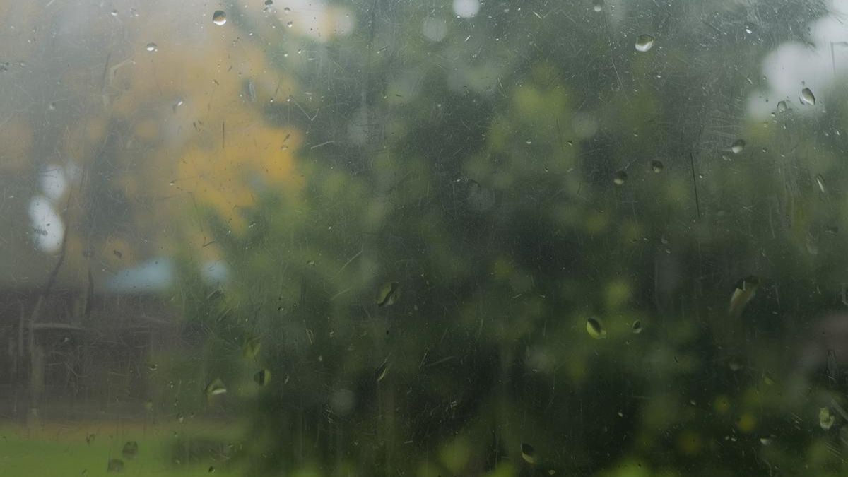 A misty window view representing the brain fog and lack of focus caused by insomnia.