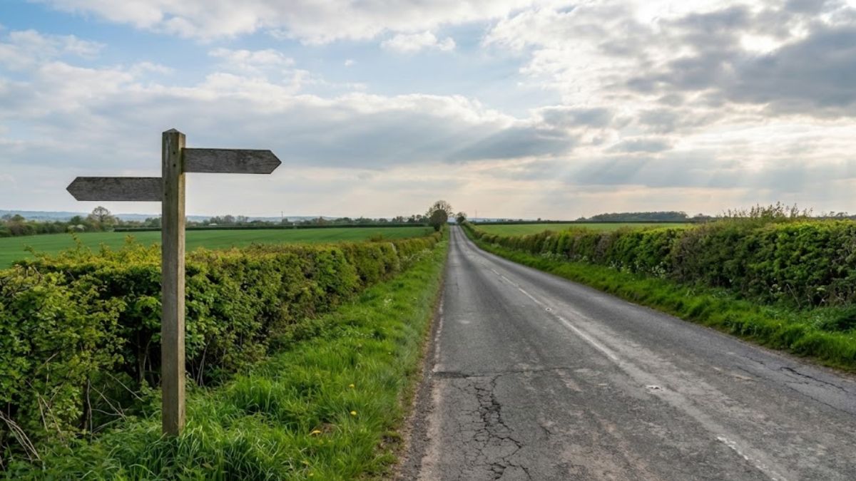 Mental Health Treatment Pathways A road stretching into the distance symbolising the pathway to diagnosis and treatment.