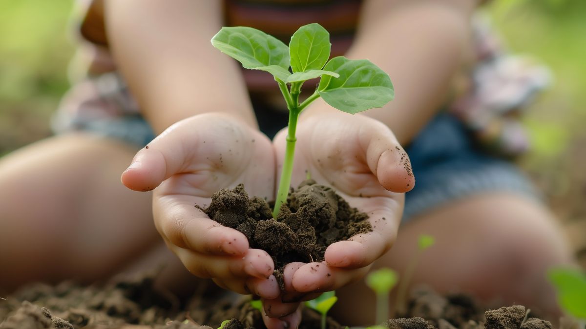 A father holding his child's hand while walking in a park.