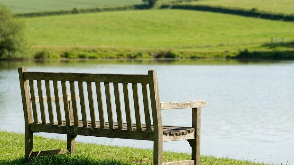 A wooden bench overlooking a view, symbolizing manageable activity.