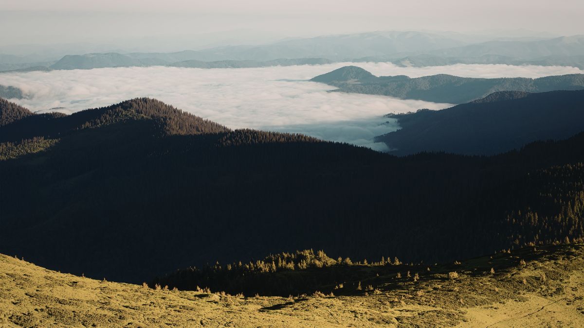 A golden sunrise clearing morning fog, representing recovery from sleep deprivation.